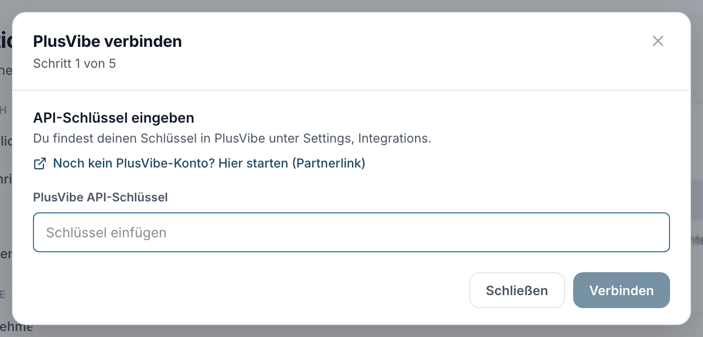 Schritt 1 des Assistenten: das Feld für den PlusVibe API-Schlüssel
