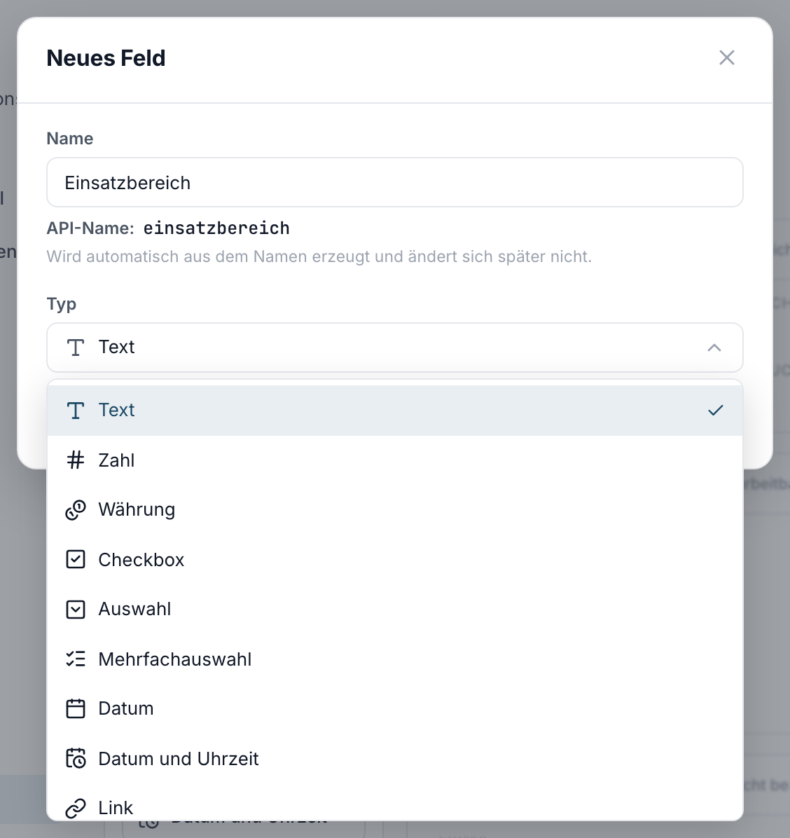Der Dialog Neues Feld mit Name, automatisch erzeugtem API-Namen und geöffneter Typ-Liste